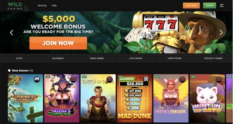 Screenshot of the homepage of Wild Casino