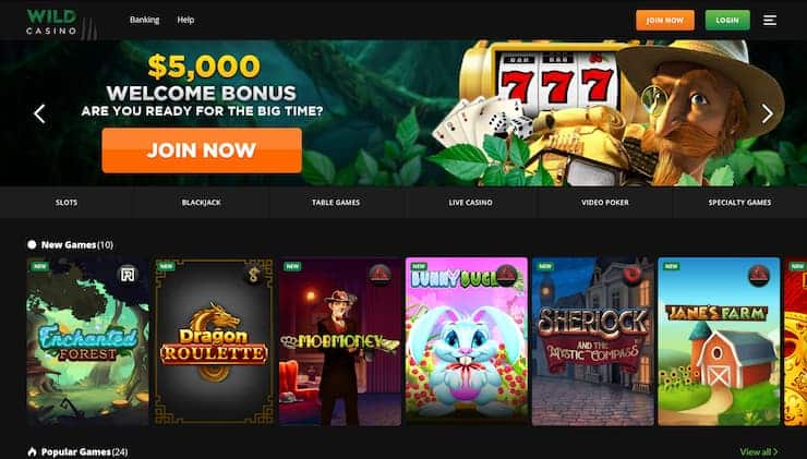 Wild Casino Prepaid Card Online Casino