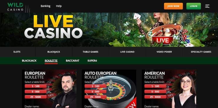 Wild Casino - Live Casino