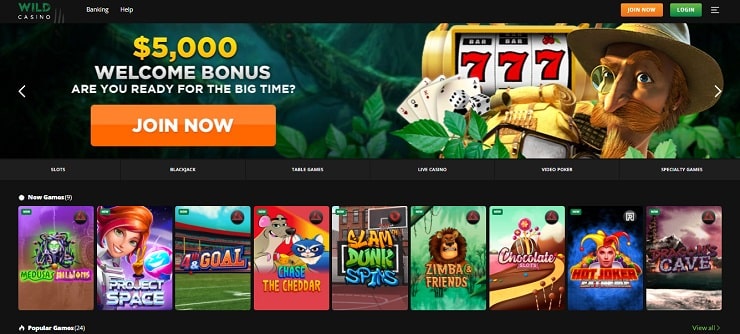 Wild Casino Step 1