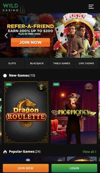 Wild casino homepage 