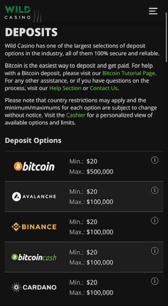 Wild Casino deposits page