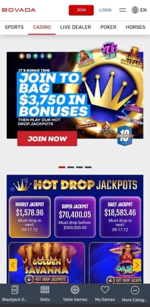 Bovada