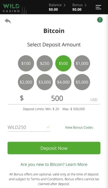 Wild Casino Bonus