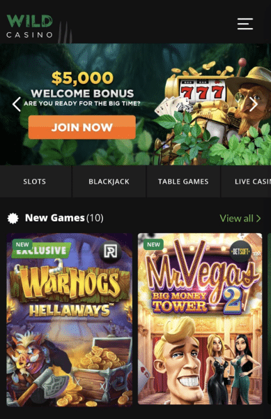 Play Wild Casino Games