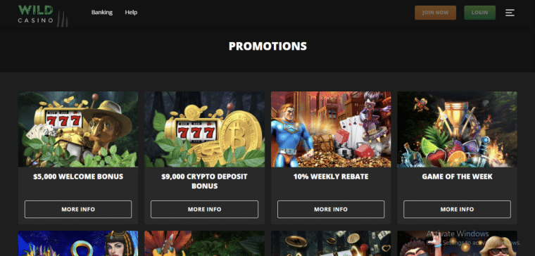 Wild Casino Bonuses