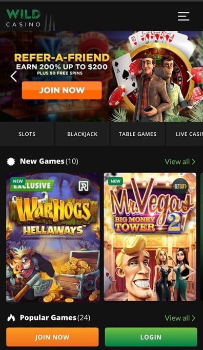 Wild Casino