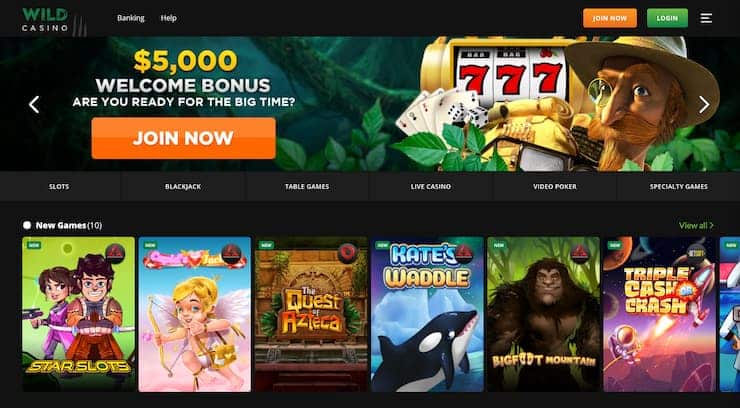 Wild Casino Paysafecard Casino