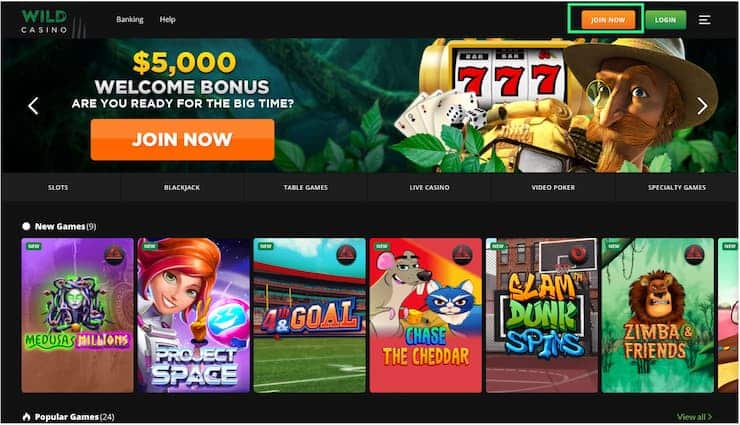 Wild Casino registration step 1