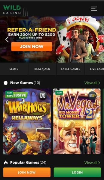 Wild Casino