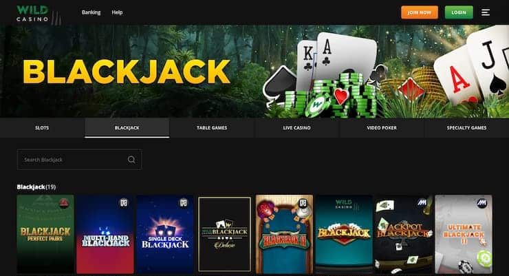 Wild Casino