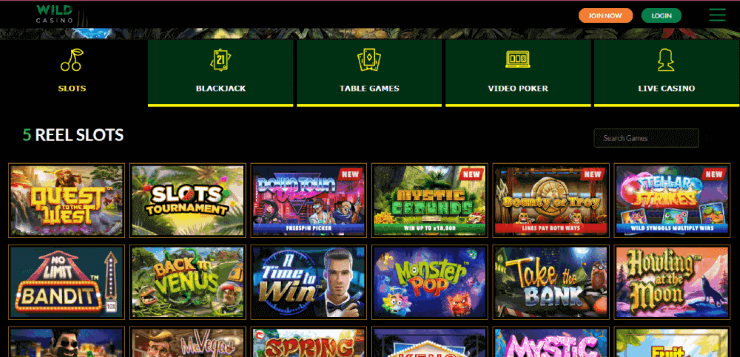 Wild Casino Slots