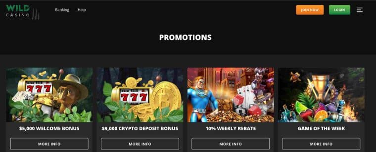 Wild Casino homepage