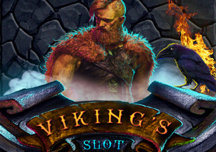 Viking Cover