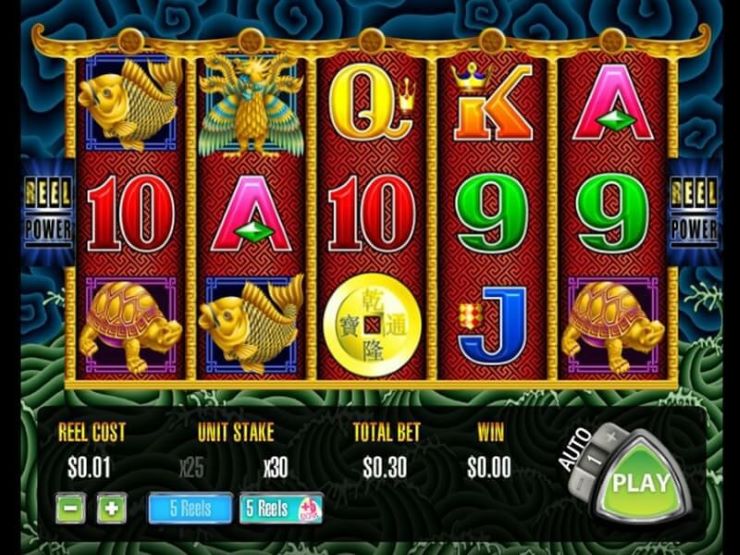 5 reel slot
